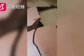 嘭的一声！店铺地面炸裂，是何原因引起？视频封面