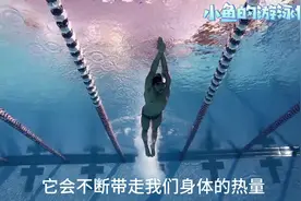 为什么游泳越游越胖？详解游泳减脂瘦身 最科学 最有效的方法。