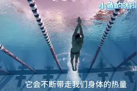 为什么游泳越游越胖？详解游泳减脂瘦身 最科学 最有效的方法。视频封面