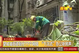 树长太高也有烦恼！长沙一小区树木“太繁茂”，居民大倒苦水！视频封面