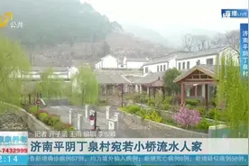 济南平阴丁泉村风景宜人，住民宿看美景不亦乐乎，村民个个笑开颜视频封面
