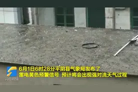 雷雨+10级大风！平阴迎来强对流天气，大大小小的冰雹散落一地视频封面