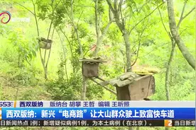 西双版纳：新兴“电商路”让大山群众驶上致富快车道视频封面