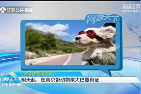 “铲屎官”们请注意！11月21日起在南京带动物乘大巴要有证视频封面