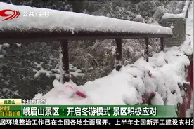 峨眉山景区：开启冬游模式，白雪皑皑银装素裹，景区积极应对视频封面