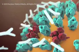 视频讲解新冠病毒是如何感染人体的视频封面