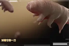 地表最强生物：水熊虫到底会不会死？原来它也有弱点，看完才知道视频封面