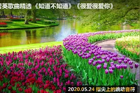 29首刘若英歌曲精选 《知道不知道》《很爱很爱你》视频封面