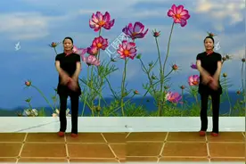 花团紧簇草原辽阔，有位姑娘象花一样，广场舞格桑姑娘。