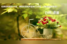 经典动听靓音18首，发烧男声蓝光CD天碟《今生爱的就是你》视频封面
