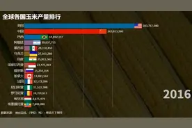 世界各国玉米产量排行榜，看看谁才是粮食产量大国？视频封面