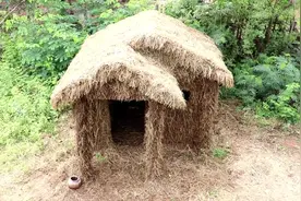 农村小哥在野外建造了一座茅草屋，毛茸茸的太好看了，值得拥有视频封面