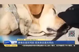 事件追踪！拒绝导盲犬乘车后续！导盲犬的主人：公交公司已道歉视频封面