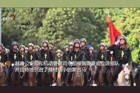 小马、小枪！越南机动警察骑兵部队首次亮相，60骑兵上街巡游视频封面