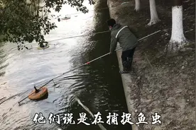 20台机器捕捉鱼虫？怪不得红虫这么贵，钓友：捕捉全靠运气