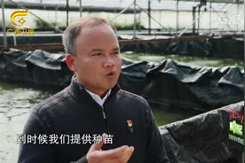 第一书记：养虾基地建成给了贫困村民就业机会，工作轻松还能赚钱视频封面