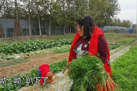 胡萝卜也能给宝宝做辅食，牛宝宝可爱吃了，姐弟俩吃的真开心