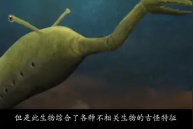 史前生物----塔利怪物