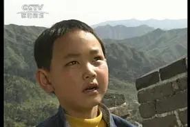 大结局：小龙人最终找到了妈妈，却也最终失去了妈妈视频封面