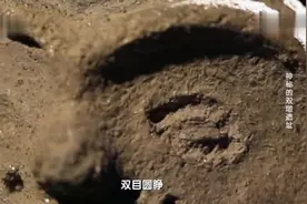 探索发现：安徽蚌埠双墩遗址内为何摆放了许多陶塑人头像？视频封面