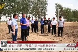 山东重拳整治秸秆焚烧，“天眼”监控自动报警，执法者快速到位视频封面