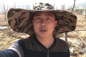 春耕进行时，大樱桃树春季浇水怎么浇，应该注意什么，视频封面