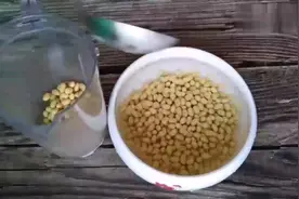 豆腐在家就能做了，不用石膏不用醋，做法简单又好吃，和买的一样视频封面