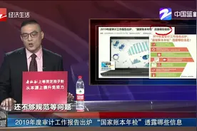 2019年度审计工作报告出炉 “国家账本年检”透露哪些信息视频封面