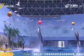 海洋极地世界、冰雪嘉年华活动，带你去德州过大年，两天都逛不完视频封面