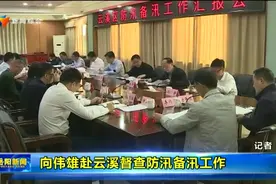 向伟雄赴云溪督查防汛备汛工作视频封面