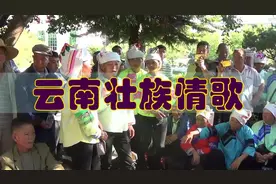 壮族情歌：文山州广南县莲湖对歌，这个女歌手越唱越激动视频封面