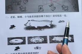 一年级数学 培优课堂15 看一看2课时练 名师微课视频封面