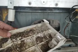 今天才知道，冰箱后面有个小机关，每月清理一次，再不会有异味视频封面