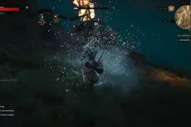 巫师3：遇到戴龟壳的敌人只能靠灵活的走位了！视频封面