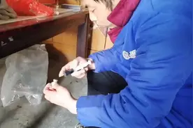 一只小羊羔不吃东西，还没有精神，娜丽很担心，让老公赶紧看看视频封面
