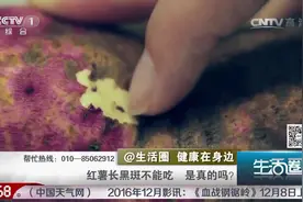 生活圈：长黑斑的红薯有毒，这是真的吗？专家实验调查，来看一下视频封面