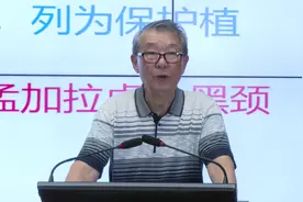 COP15科普课堂 | 探秘奇妙的昆虫世界图片