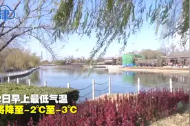 冷空气今晚抵达天津！下周天气又将如何变化？快来看看吧视频封面