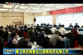 陈飞来岳检查长江湖南段河长制工作视频封面