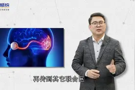 感统知识百科：大脑的核心其实在于外表皮质层