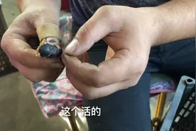 小伙去农村买蚕蛹，老板演示蚕蛹如何变成娥， 价值瞬间翻了一倍视频封面