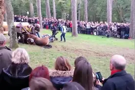 趣味马术比赛，这一跤，马儿摔得好惨