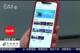 全省首个签证服务平台 帮你自己办签视频封面