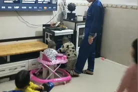 刚满周岁的儿子，非常好动，在客厅跟姐姐玩，刚学走路太搞笑了视频封面