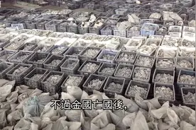 宁波发掘南宋丞相墓，价值两亿巨棺出土，戳穿一个流传千年的谎言视频封面