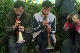 《织金唢呐》，老谱视频封面