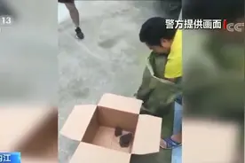 癞蛤蟆不是你想抓就能抓，这类癞蛤蟆私捕1只违法，20只以上犯罪视频封面