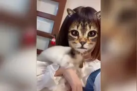 搞笑视频，变脸软件吓得猫咪炸毛了，反应很激烈视频封面