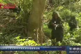 陆军某边防旅山岳丛林间开展武装渗透破袭训练视频封面