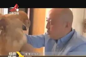 揭秘:催眠的真相，民间还真的有高手？他是怎么瞬间把鸡催眠？视频封面
